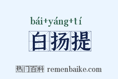 白扬提是什么意思的图片